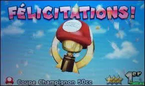 Combien y a-t-il de circuits dans chaque coupe ?