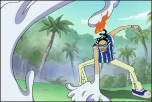 Un combat entre Luffy et la personne faisant parti de l'organisation commence, quel est le pouvoir de cette personne ?