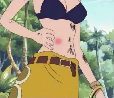 Ces deux personnes se font battre par les Mugiwaras. Les Mugiwaras quittent l'le pour se rendre sur une autre le, mais ils auront une grande surprise. Quelle est-elle ?