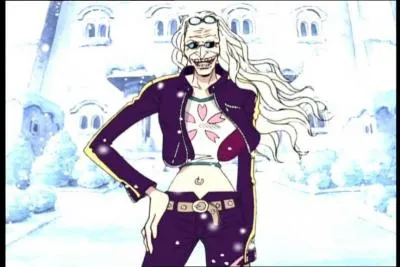 Une fois arrivs sur l'le, ils font la rencontre de Dalton, mais il leur apprend que la personne que les Mugiwara cherchent n'est pas prsente sur l'le,  part une personne. Qui est-elle ?