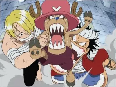  la fin du combat, Luffy veut  tout prix que le petit renne rejoigne son quipage, mais on apprend par Kureha que cela serait srement compliqu, mais pourquoi ?