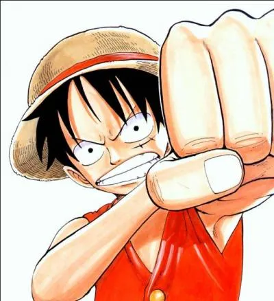 Luffy a une mystrieuse cicatrice sous son %u0153il gauche, mais comment se l'ai-t-il faite ?