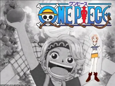 Luffy fera par la suite la rencontre d'une fille. Il se dit qu'elle devrait sans doute rejoindre son quipage. Qui est-elle ?