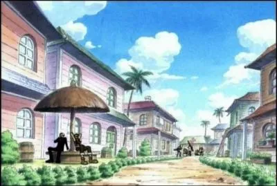 Aprs cette vnement, Nami a vol le Merry afin de se rendre  un village. Comment se nomme ce village et pourquoi y est-elle alle ?