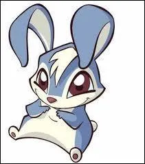 Quel est le nom du lapin de Bloom ?