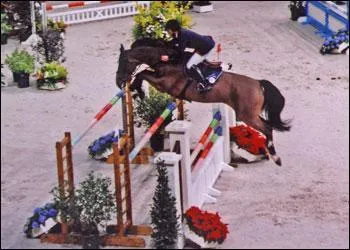 Comment s'appelle cet obstacle ?