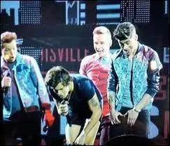 S'il tait une fille, quel membre du groupe pouserait-il ?