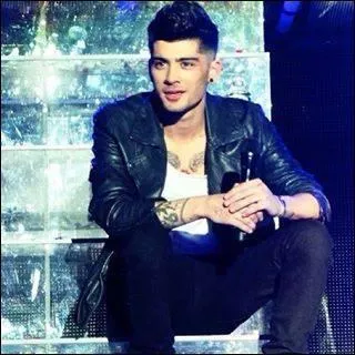 S'il tait un animal, il serait :