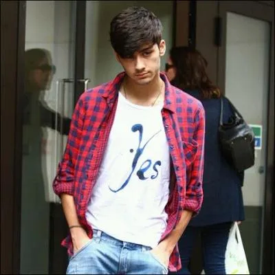 Zayn a une particularit physique, laquelle ?