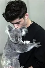 Quelle est sa pointure ?