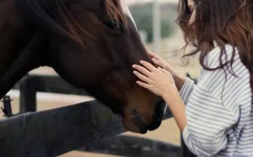 Quiz Galop 1