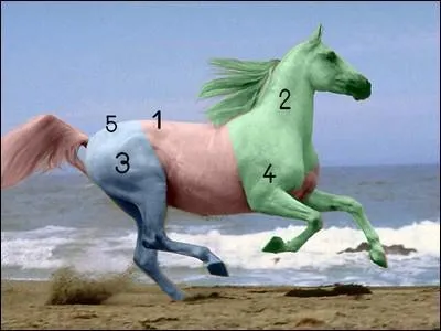 Comment appelle-t-on la partie en bleu ?