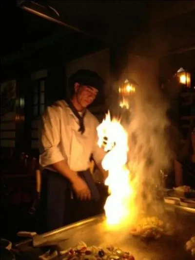 A quel animal vous fait penser la flamme ?