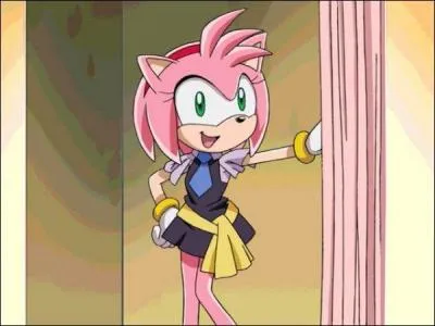 Amy prend Sonic comme son petit copain, mais en ralit c'est leur relation ?