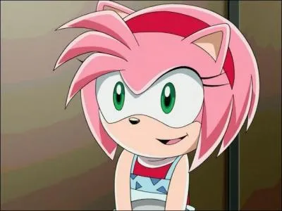 Quel est le rve d'Amy ?