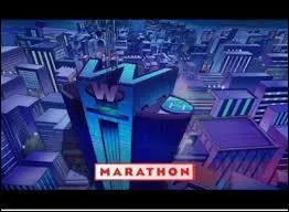 Pour quelle organisation travaillent les Spies ?