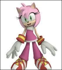 Dans  Sonic Rider , peut-on jouer avec Amy ?