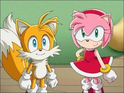 Quelle est la relation entre Amy et Tails ?