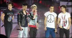 Lequel des boys est le seul  avoir un frre ?