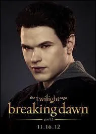 Qui joue Emmett Cullen ?