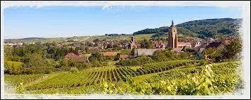 Nous partons en Franche-Comt visiter la ville d'Arbois. Nous serons dans le dpartement ...