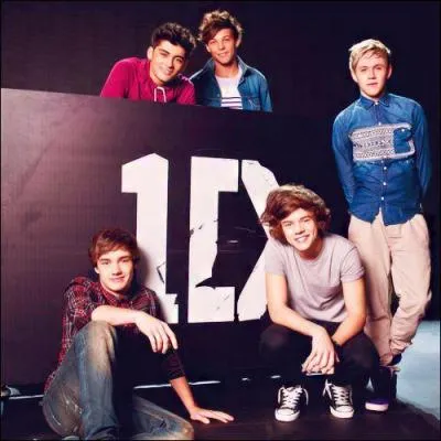 Combien sont les One Direction ?