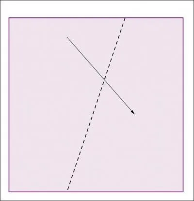 Annie plie ce carr de papier, suivant la diagonale pointille, puis coupe aux ciseaux les parties qui dpassent. Combien de cts aura le figure obtenue aprs le dpliage ?