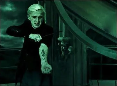 Lorsque Harry, Ron et Hermione sont amens au manoir des Malefoy, que prtend Drago ? [HP7]