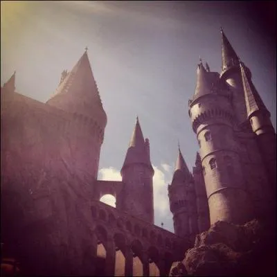 A Poudlard quel est son professeur prfr ?