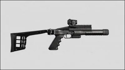 Quel est le nom de cette arme ?