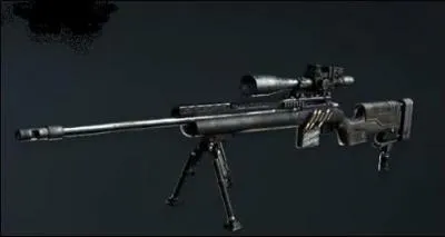 Quel est le nom de cette arme ?