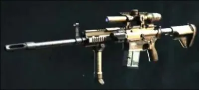 Quel n'est pas le nom de cette arme ?