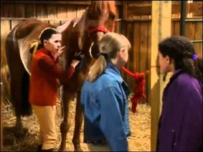 Quelle nourriture donne Steph  Prancer ? 