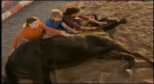 Quel cavalier Veronica affronte-t-elle ?