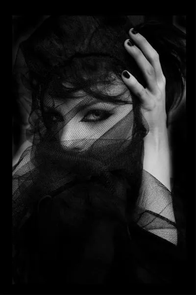 Qui chantait  Elle a les yeux revolver ...   ?