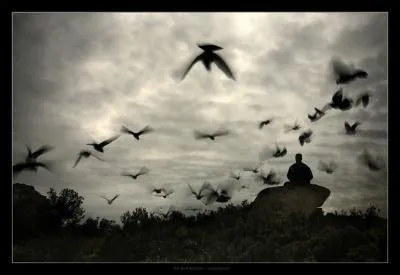 Lequel de ces chanteurs a interprt  My way  ?