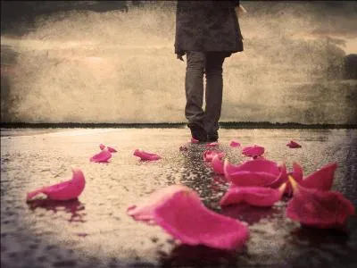  La solitude, a n'existe pas ...   De qui taient ces paroles ?