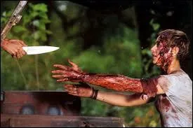 Comment se nomme ce long-mtrage de 2003 o l'on retrouve  l'affiche des acteurs comme Mawenn, Philippe Nahon et Ccile de France ?