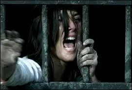 Olivia Bonamy et Michal Cohen incarnent les personnages centraux de ce film sorti en 2006. Il s'agit de :