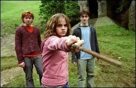 A qui Hermione veut-elle jeter un sort ?