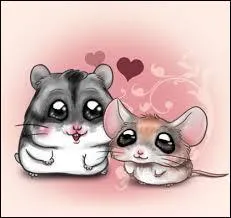 Dans un niveau, combien de missions y a-t-il ?