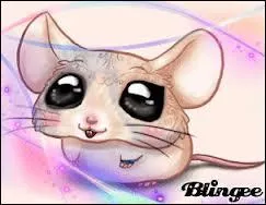 Comment gagne-t-on de l'argent ?