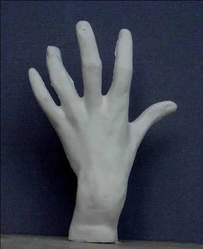  quel endroit du corps y a-t-il un muscle  court palmaire  ?