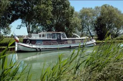  quel endroit du corps y a-t-il un muscle  ptrygodien latral  ?  la vtre !