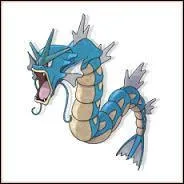 Comment s'appelle le Pokemon ? (Sur la photo)