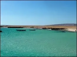 Quel est le de la mer la plus populaire en Isral ?