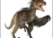 Quiz Dinosaures