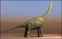 Quel dinosaure est le plus grand herbivore ?