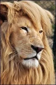 Est-il un mammifre ?