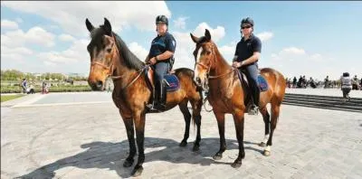 Les personnes qui pratiquent ce mtier sont affectes  des missions de scurit, de prvention et de maintien de l'ordre. Elles peuvent tre employes soit dans la Police nationale (Unit questre), soit au sein d'une Police municipale (Brigade questre). Ce mtier est...